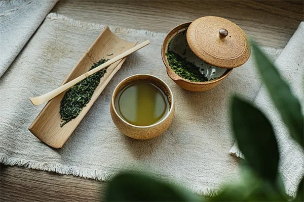 庭の目隠しに!すぐに伸びるつる植物5選で気になる場所を覆う